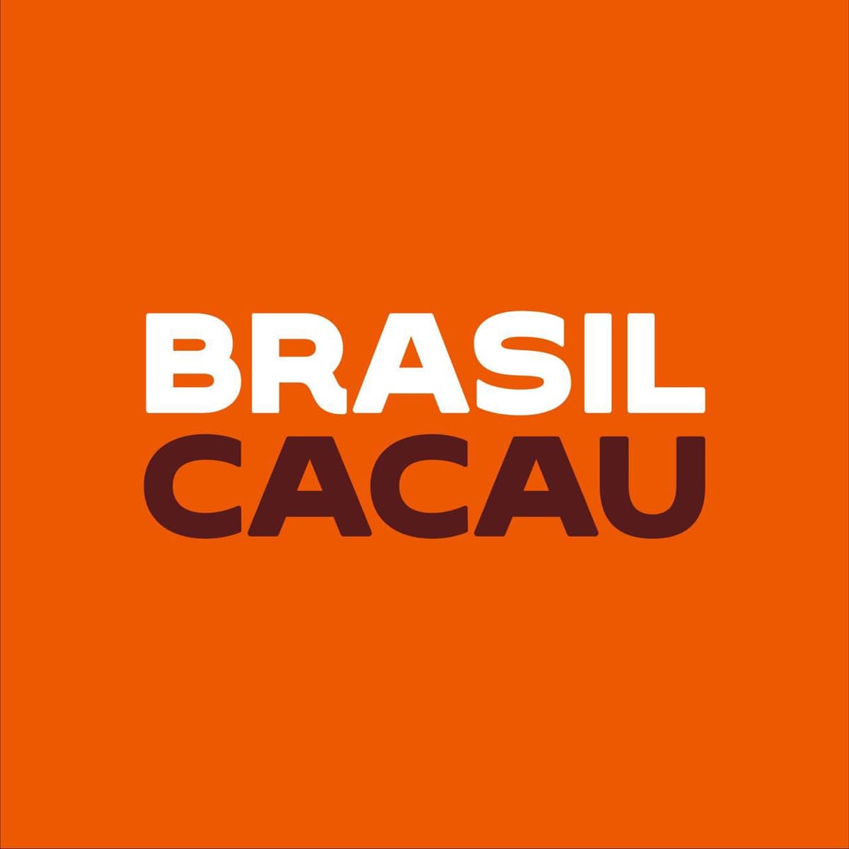 Imagem da loja chocolates brasil cacau